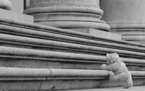 René Lezard: Teddy für große Mädchen