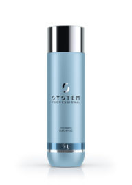 system professional