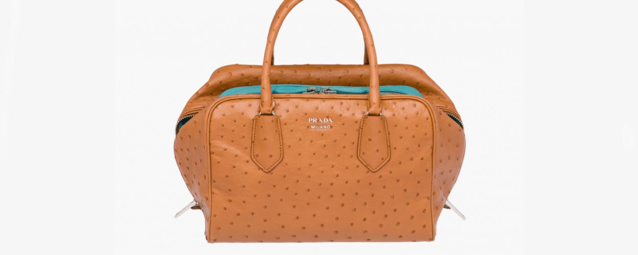 PETA kauft Prada-Aktien