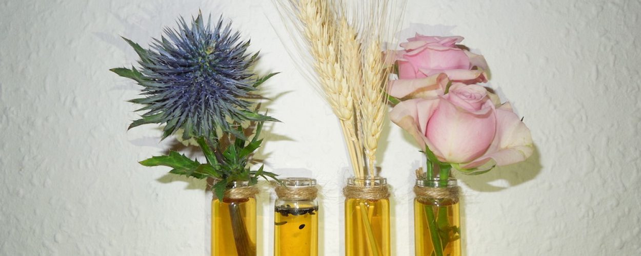 Vegane Power: Öle für jeden Hauttypen